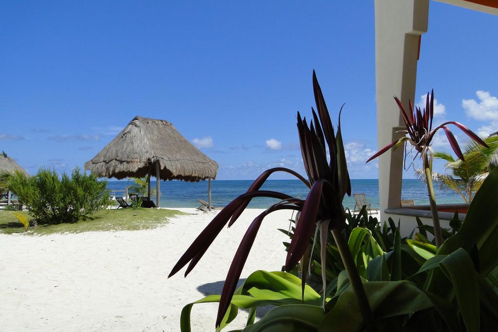 Mayan Beach Garden El Placer Exterior photo